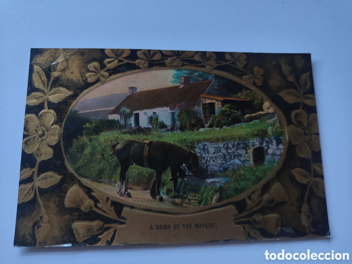 Postales: POSTAL EN RELIEVE CABALLO Y CASA - Foto 1
