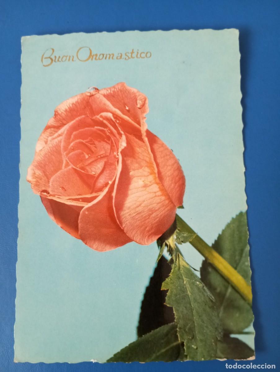Postales: POSTAL DE FLORES, ROSAS - Foto 1