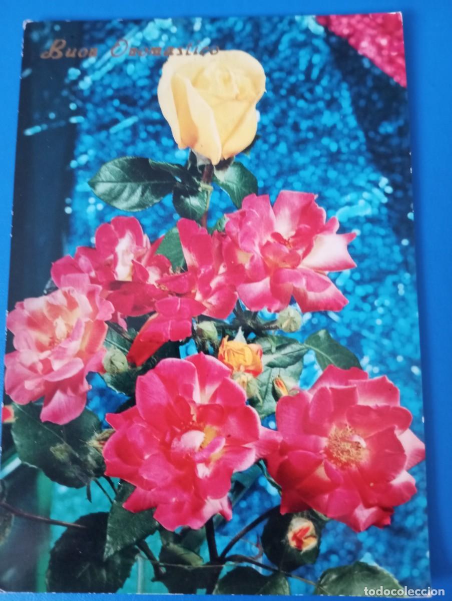 Postales: POSTAL DE FLORES, ROSAS - Foto 1
