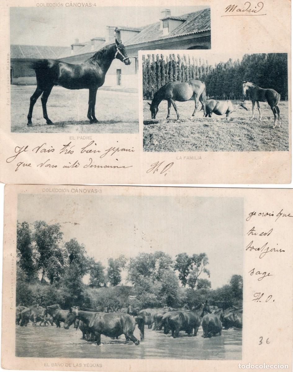 Postales: CABALLOS 2. SERIE CANOVAS - Foto 1
