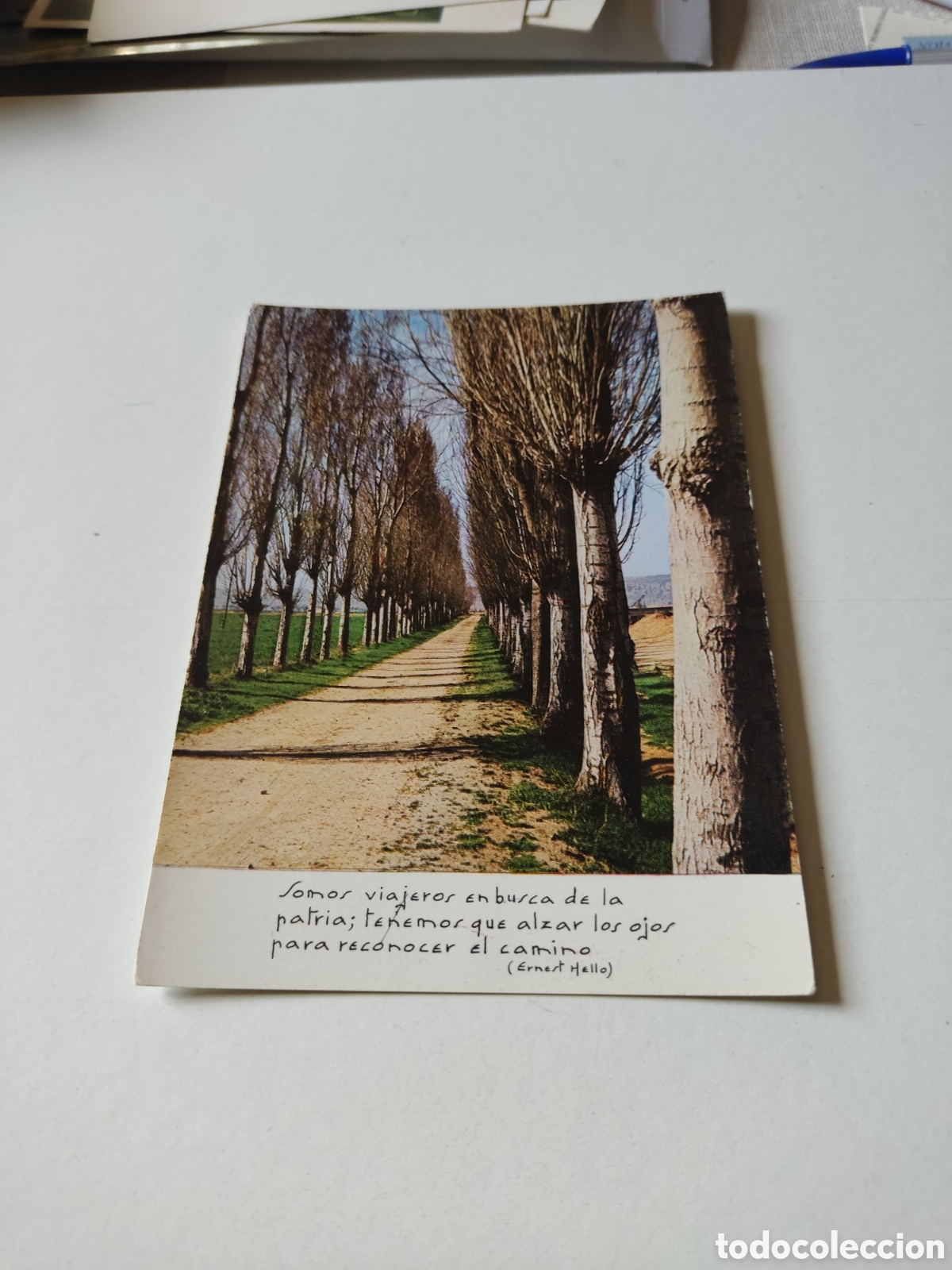 Postales: Postal pensamiento de Ernest Hello - Foto 1