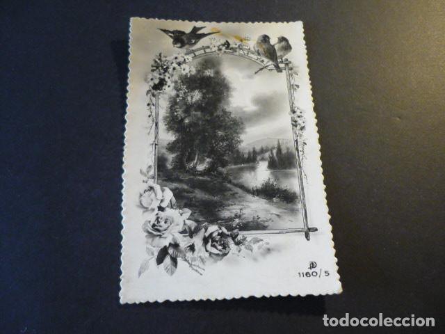 Postales: PAISAJE CON ORLA POSTAL - Foto 1