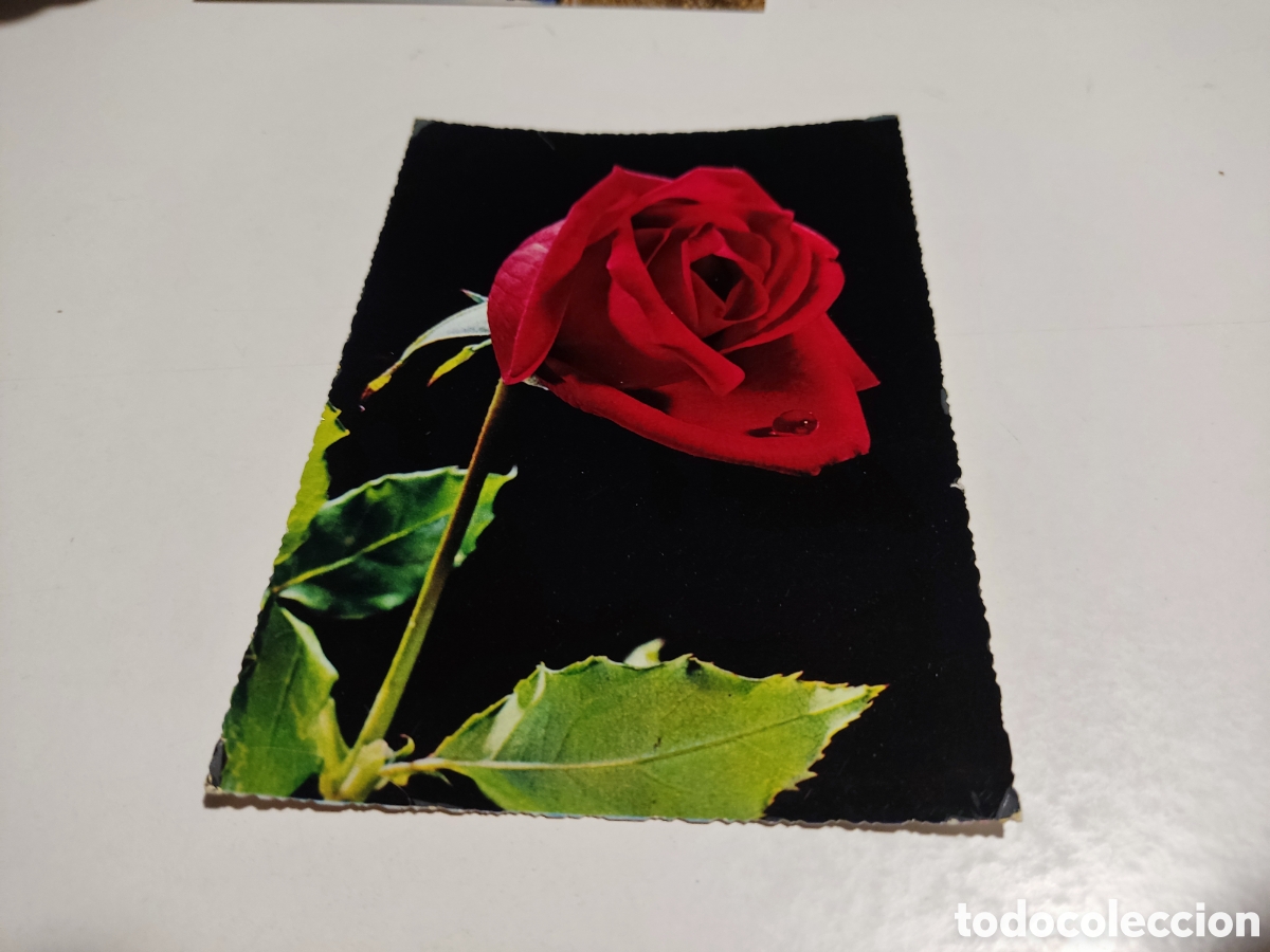 Postales: Postal Flores rosa .... - Foto 1