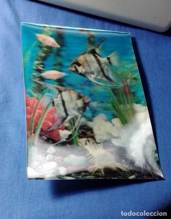 Postales: postal Acuario Peces 3D S/C - Foto 1