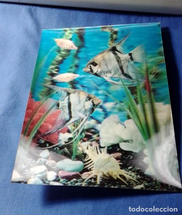 Postales: postal Acuario Peces 3D S/C - Foto 2