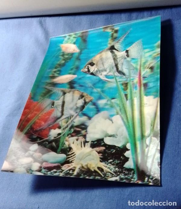 Postales: postal Acuario Peces 3D S/C - Foto 3