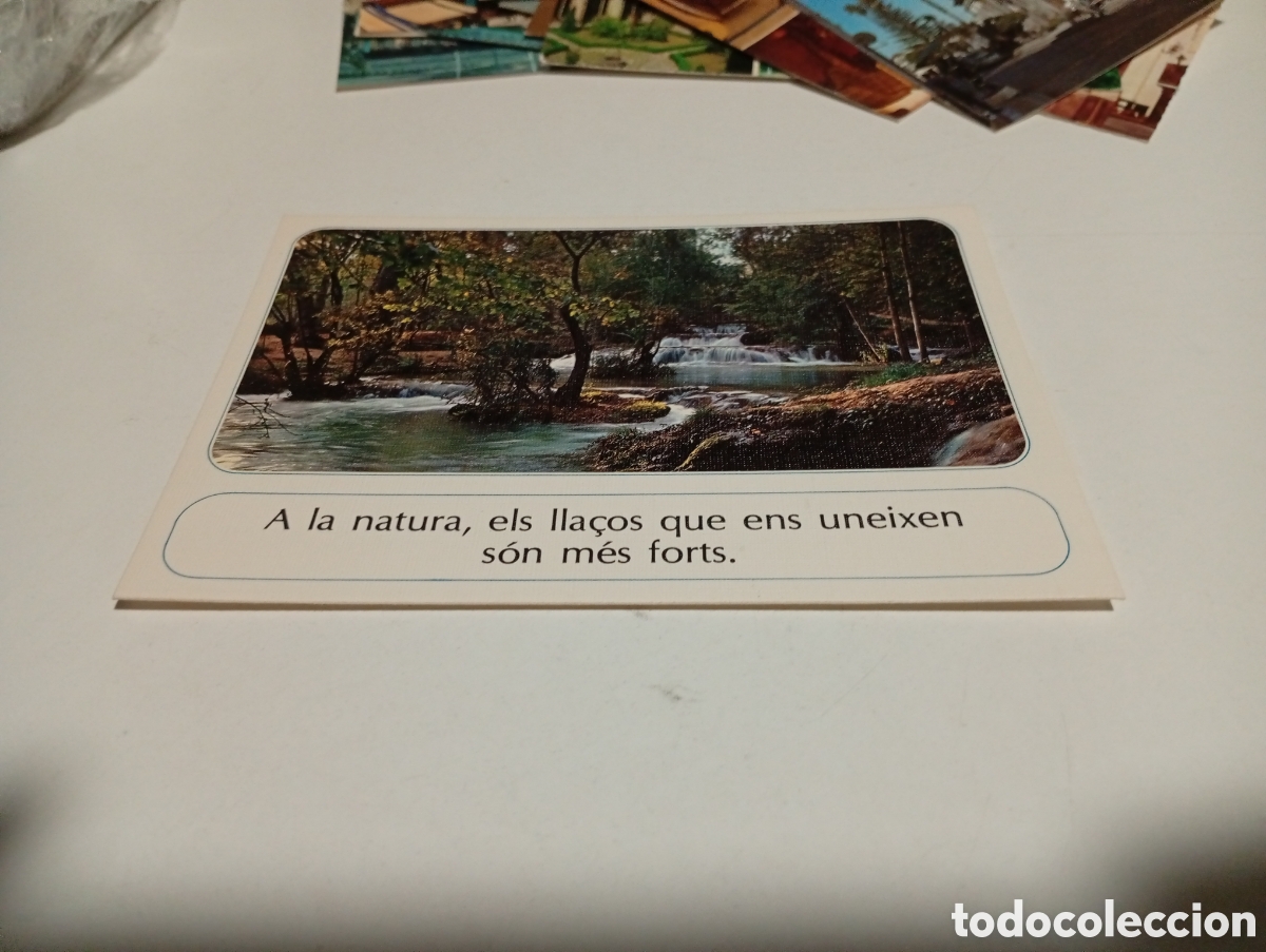 Postales: Postal pensamiento en catal&aacute;n - Foto 1