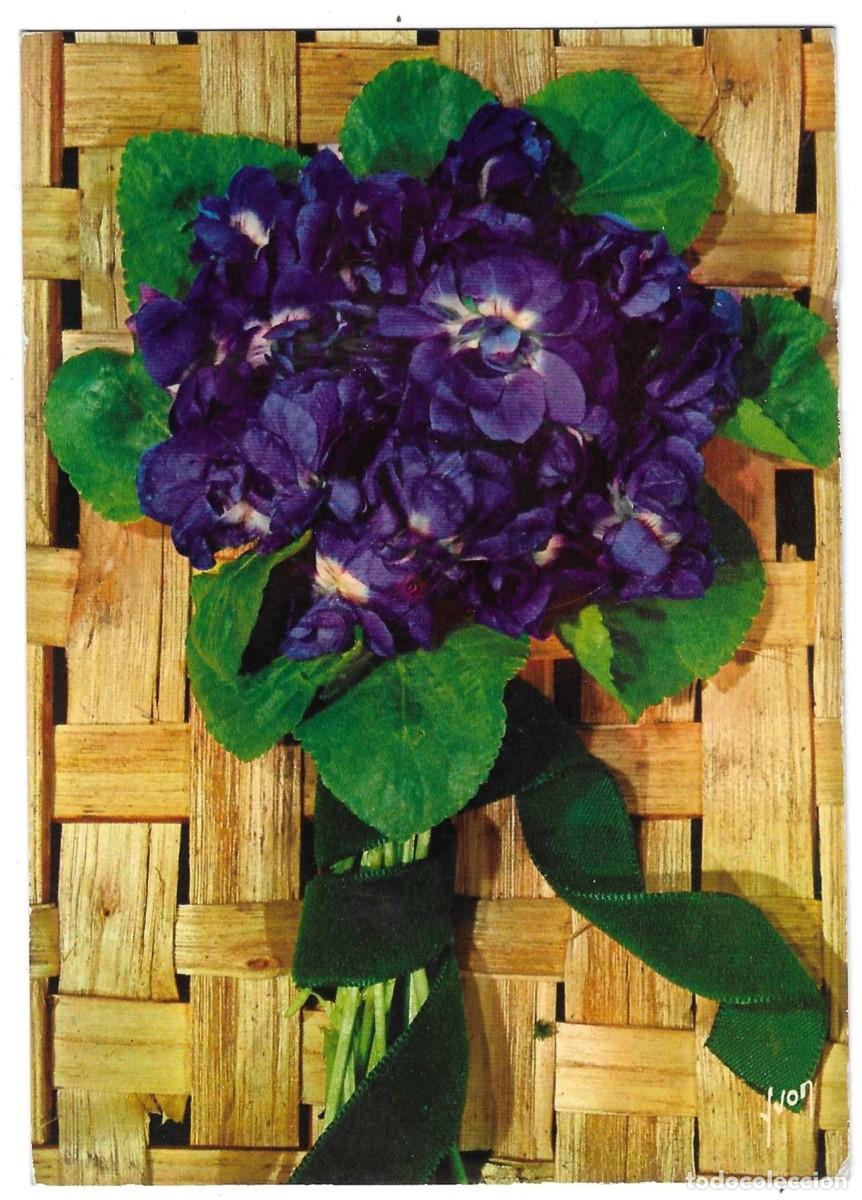 Postales: Postal Flores. Violetas. ref. 7-flor39 - Foto 1