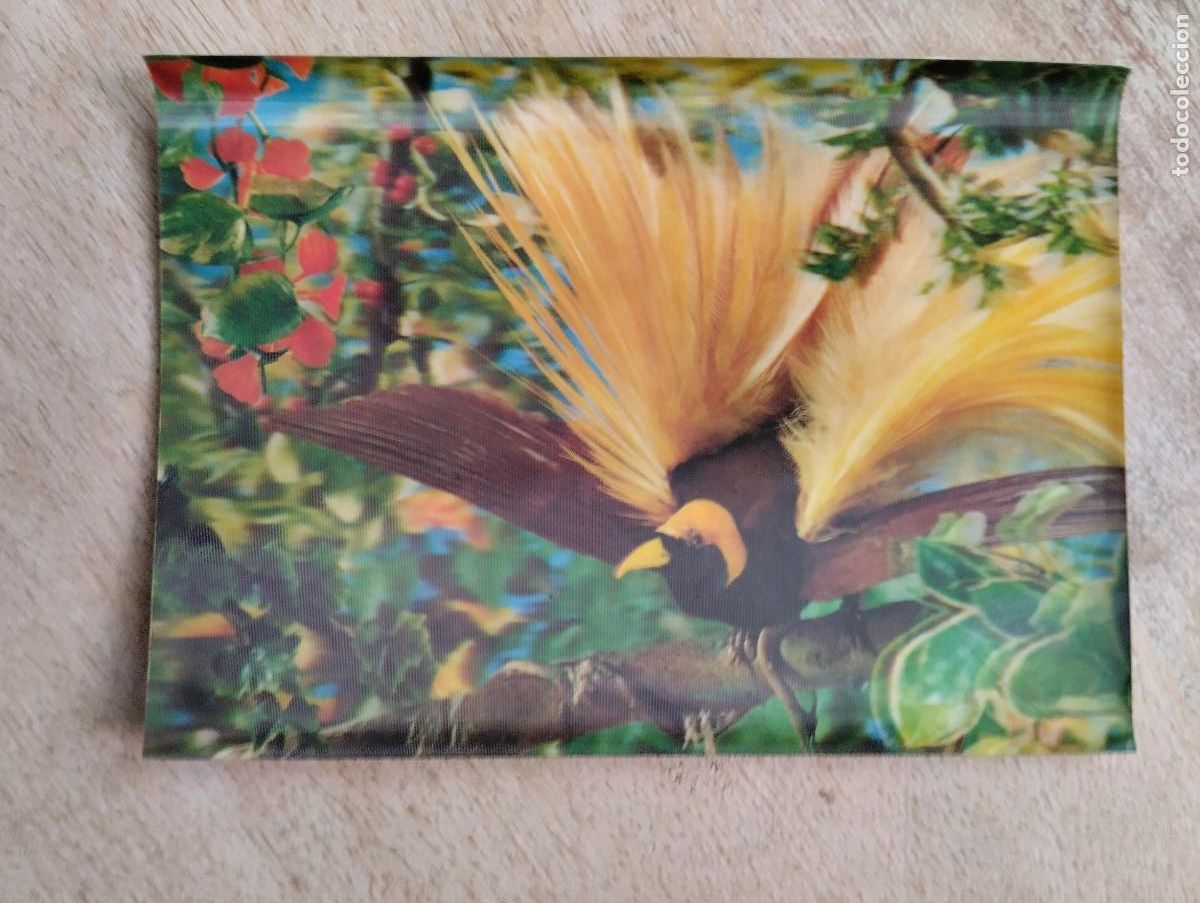 Postales: POSTAL RELIEVE 3D STEREO. AVE - Foto 1