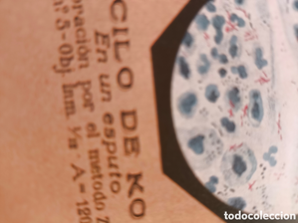 Postales: Compendio de bacteriolog&iacute;a lote.n.44 - Foto 1