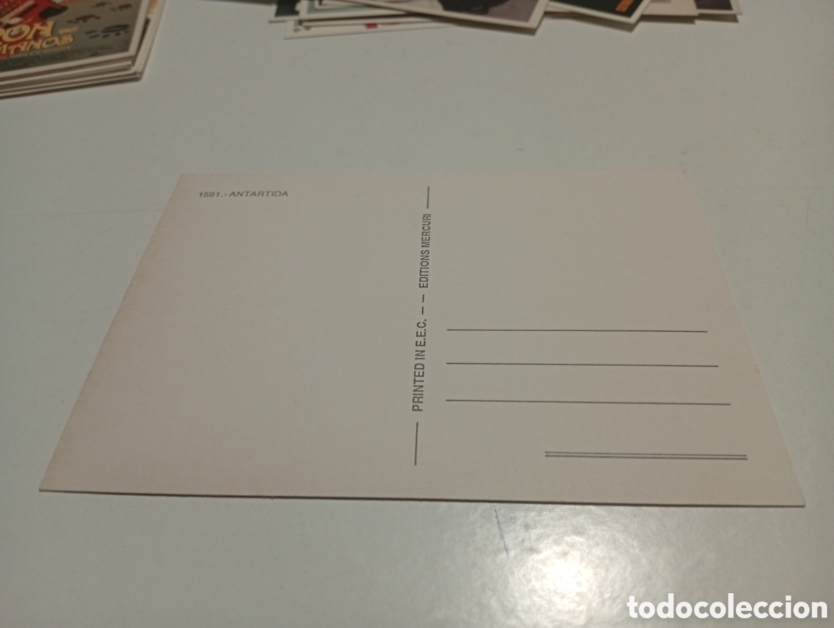 Postales: Postal Cine Ant&aacute;rtida... - Foto 2