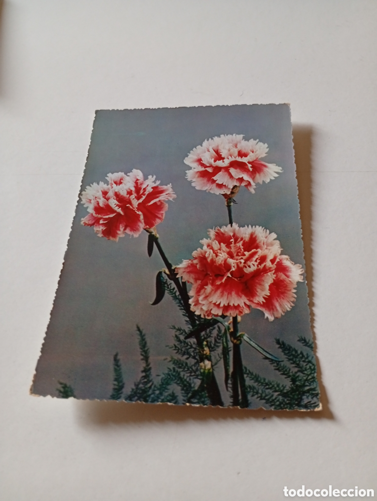 Postales: Postal flores........... - Foto 1