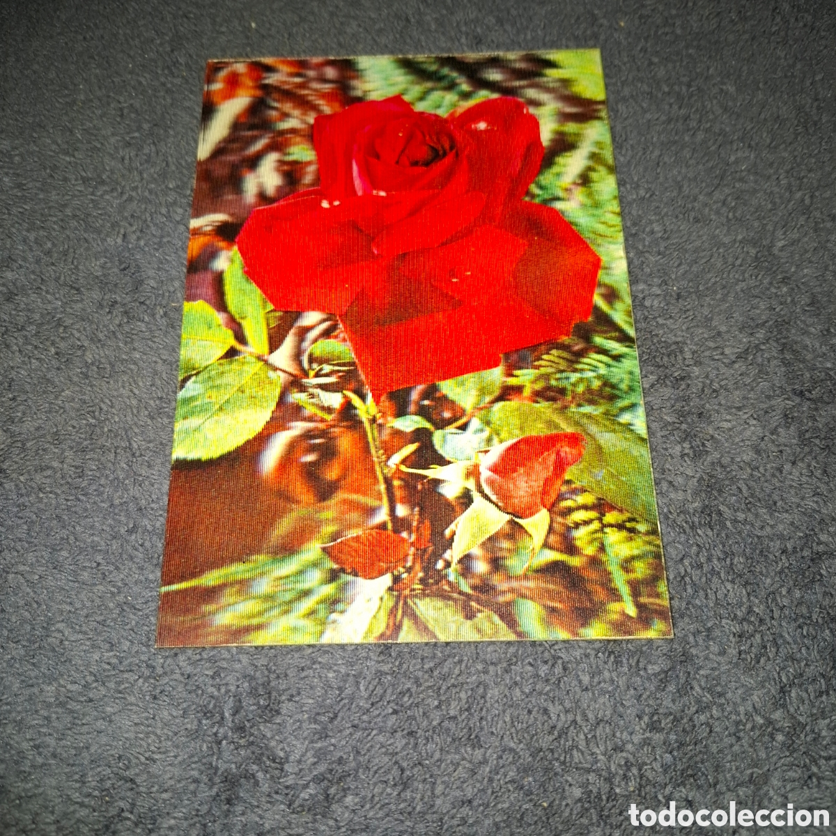 Postales: P8. Flor, Rosas Rojas, Sin Circular, - Foto 1