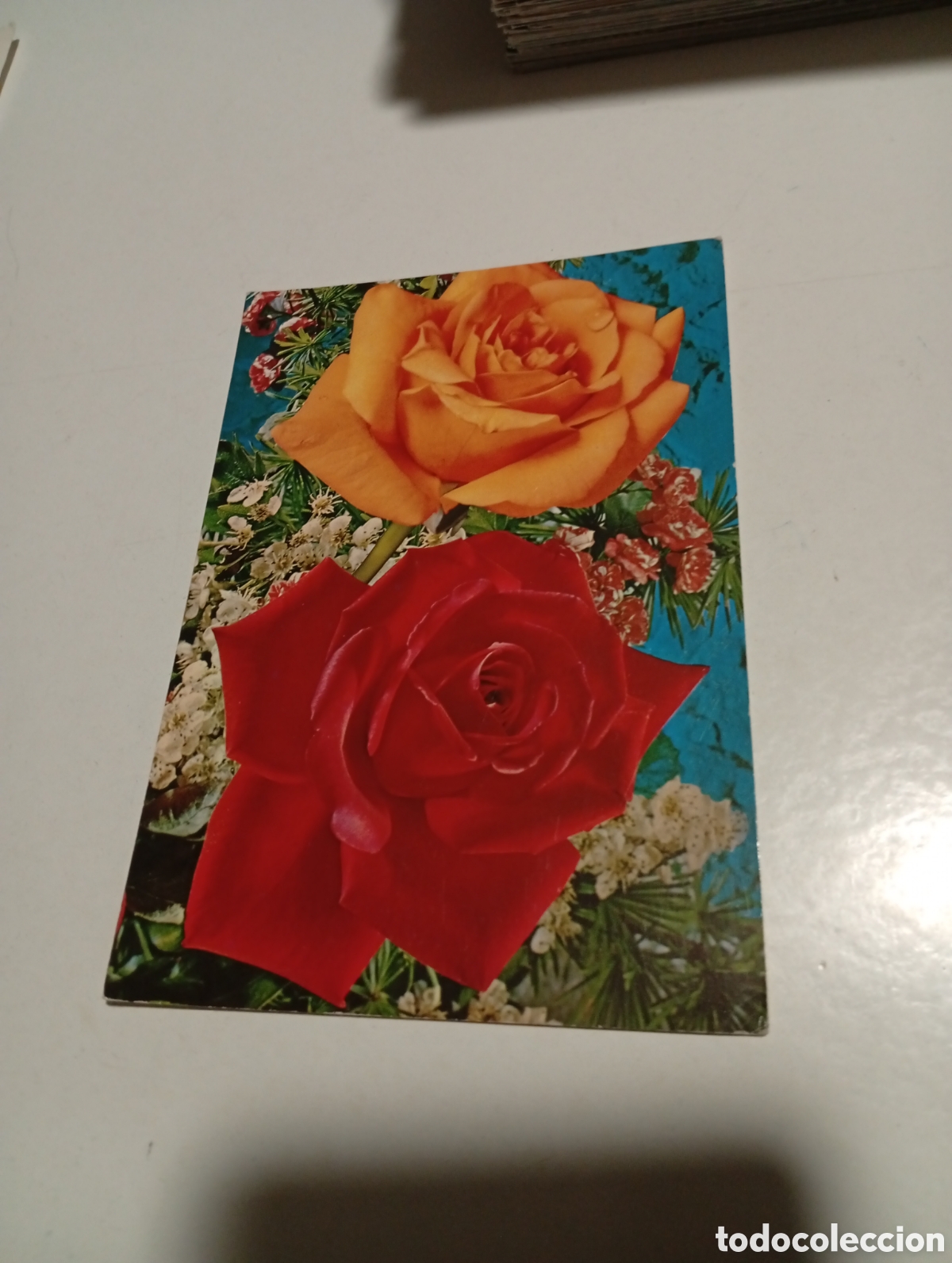 Postales: Postal rosas............... - Foto 1