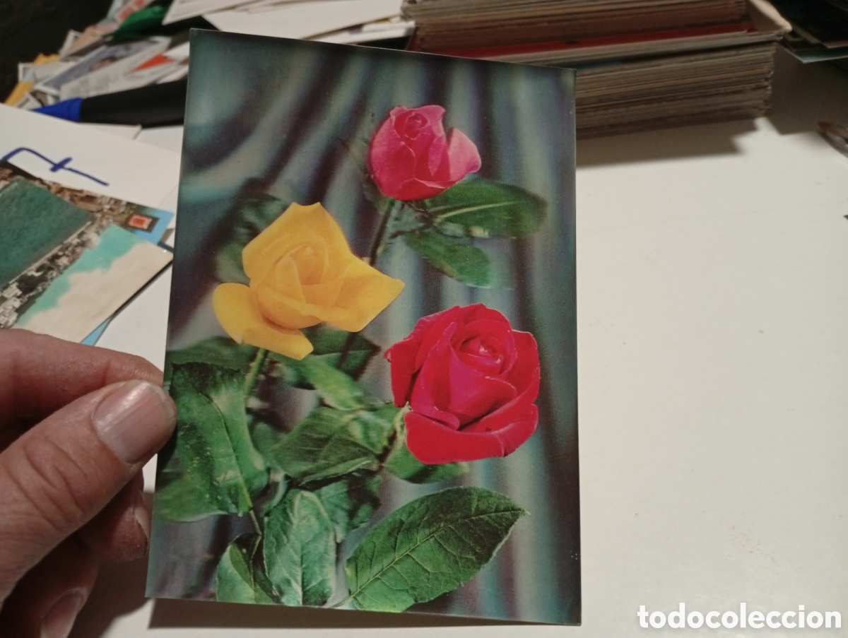 Postales: Postal tres rosas....... - Foto 2