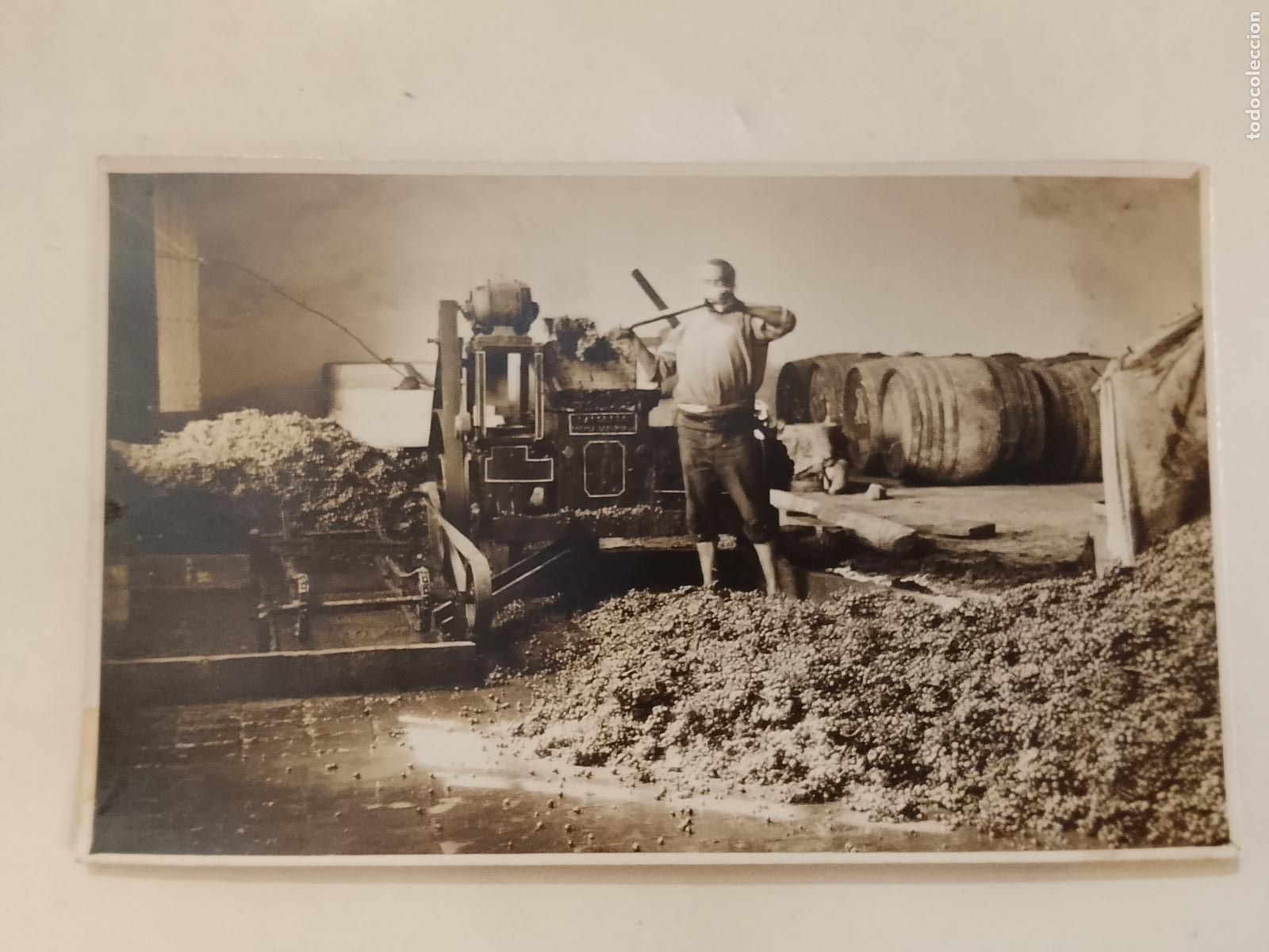 Postales: MAQUINARIA DE PRODUCCION DE VINO - FOTOGRAFICA - POSTAL ANTIGUA -(115.727)