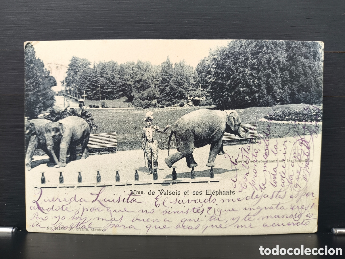 Postales: Antigua postal fotogr&aacute;fica escena circo exhibici&oacute;n Madame de Valsois y sus elefantes 1903