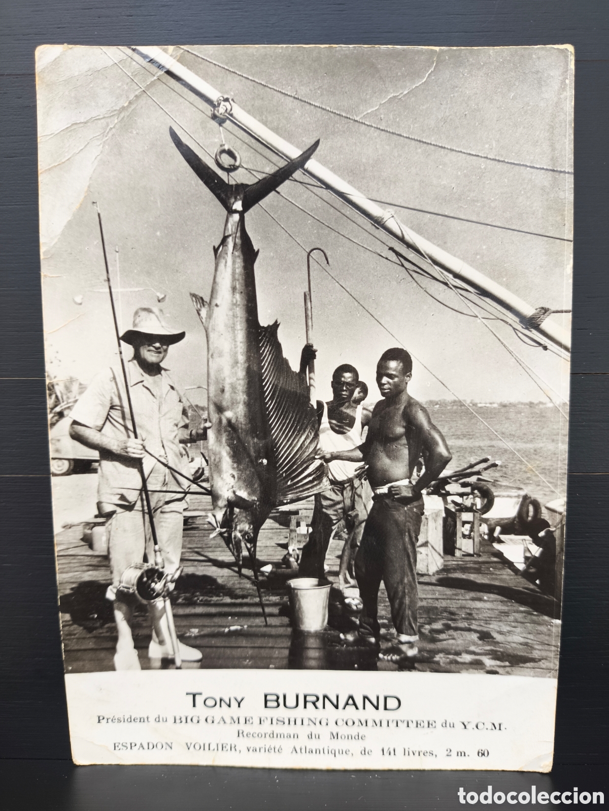 Postales: Antigua postal fotogr&aacute;fica Tony Burnand Record Mundial Pesca Mayor Deportiva Ejemplar Pez Vela