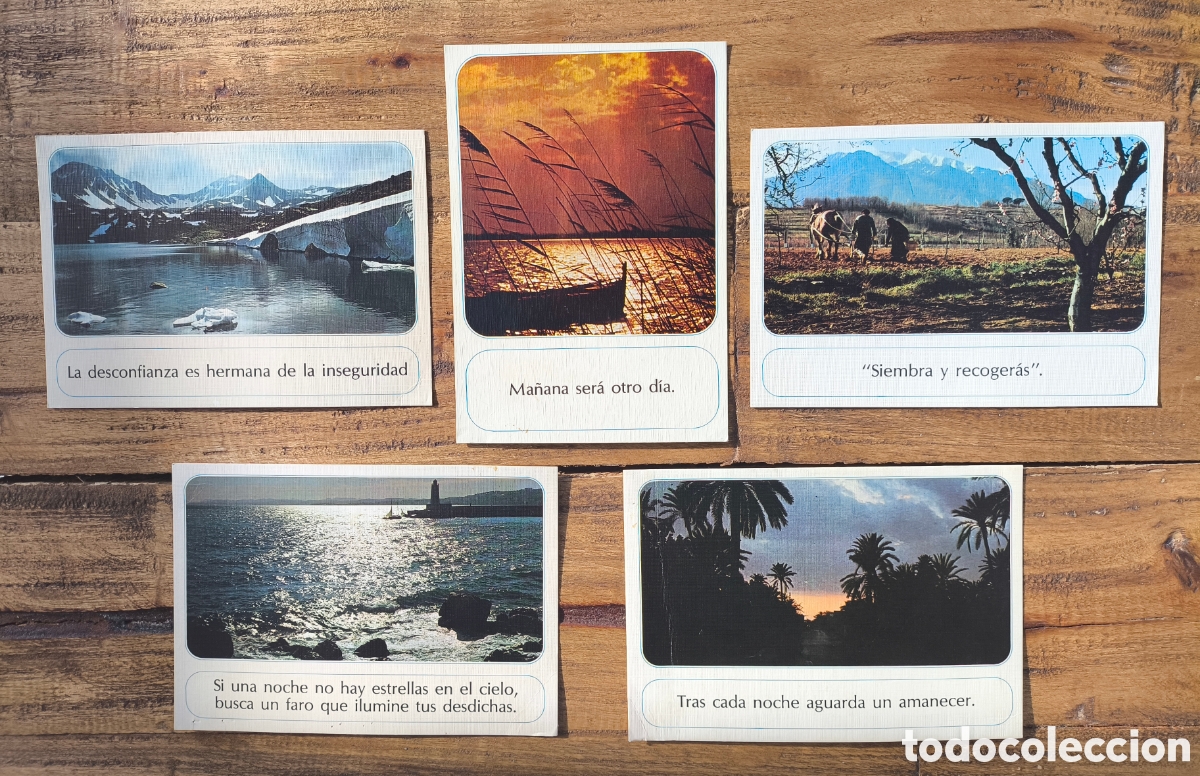 Postales: Lote postales fotogr&aacute;ficas Colecci&oacute;n La Postal de la Amistad Ed. Escudo de Oro