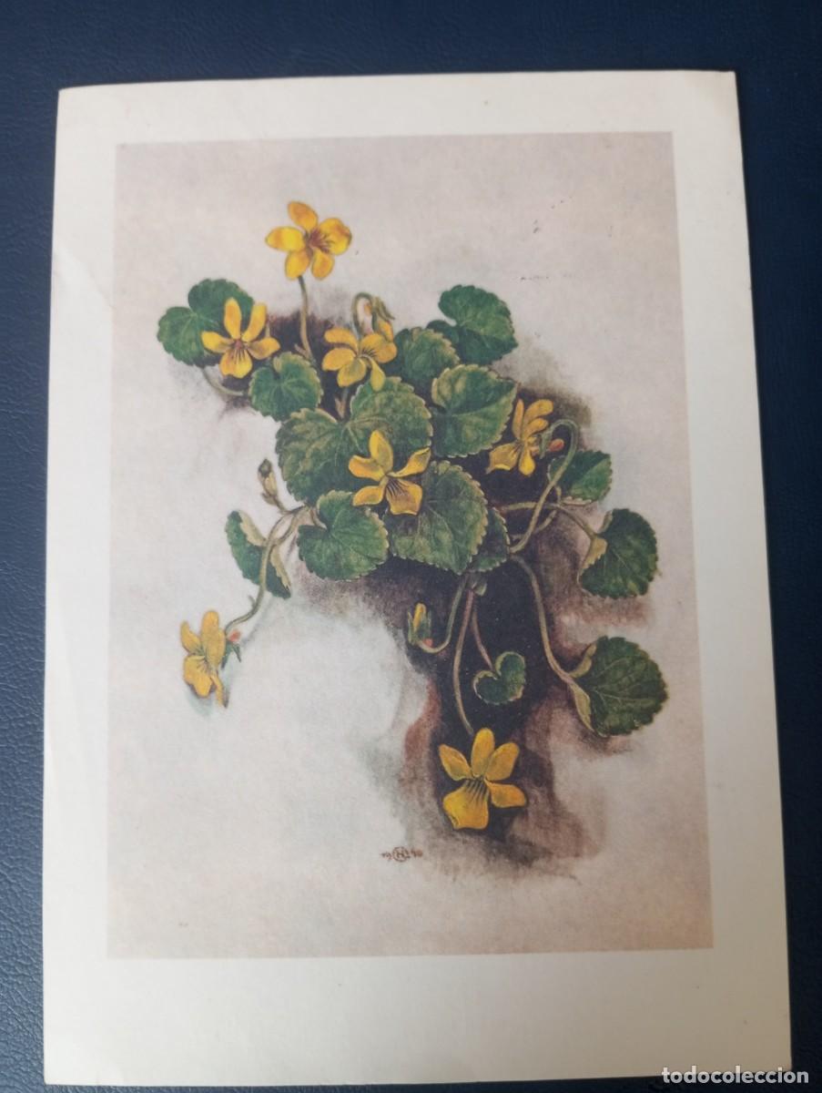 Postales: POSTAL AUSTRIACA , MOTIVOS FLORALES, CIRCULADA, 1986