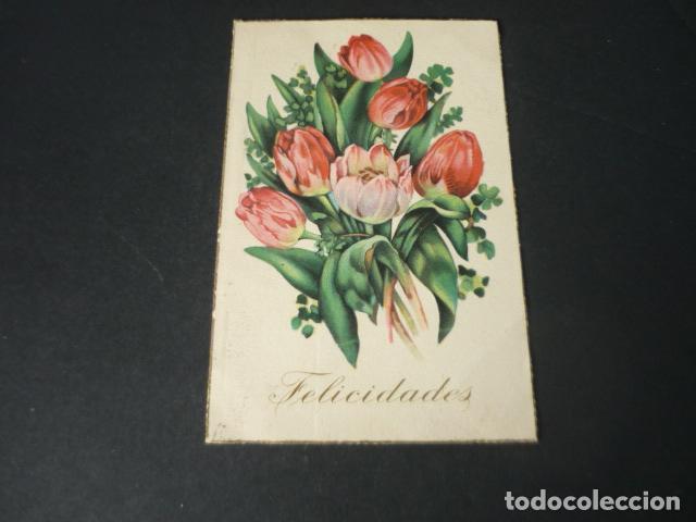 Postcards: RAMO DE TULIPANES POSTAL