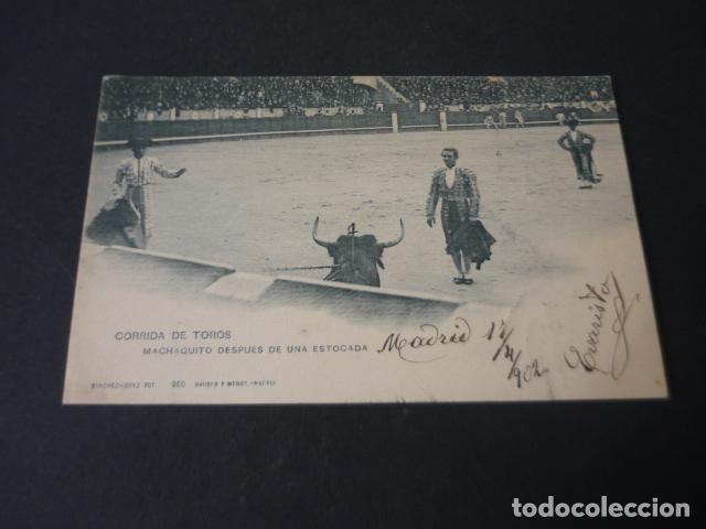 Postais: CORRIDA DE TOROS MACHAQUITO DESPUES DE UNA ESTOCADA POSTAL HAUSER Y MENET SIN DIVIDIR