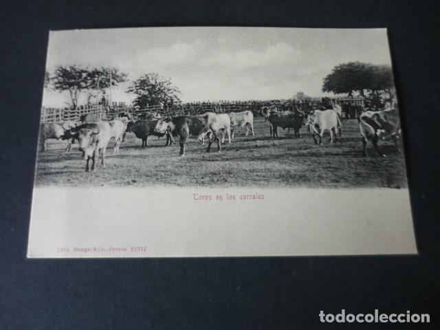 Postales: TOROS EN LOS CORRALES POSTAL