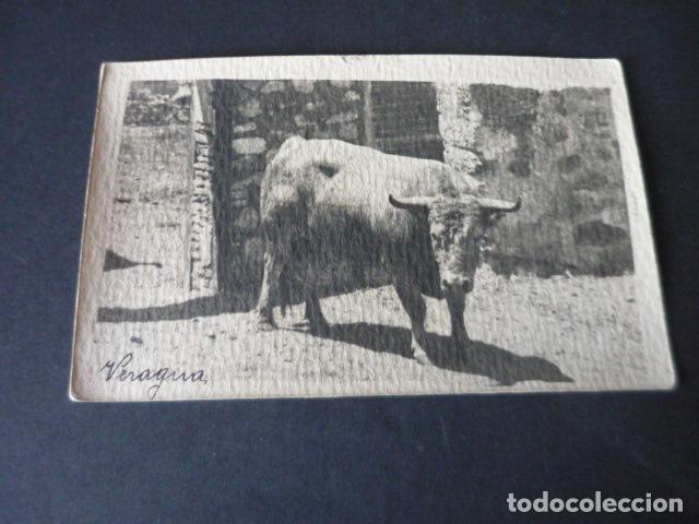 Postales: TORO GANADERIA DE VERAGUA POSTAL