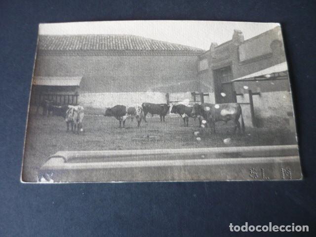 Postales: TOROS EN CORRAL POSTAL
