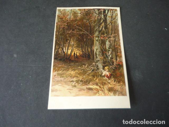 Cartoline: CUPIDO EN BOSQUE POSTAL