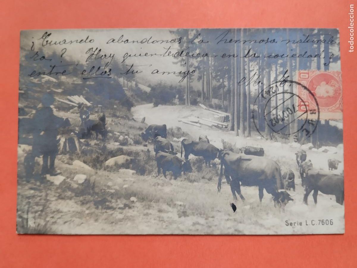Postkarten: JHR - POSTAL ESCENA VACAS.. . AL POETA HUESCA CRISTINO GASOS SAMITIER VER DESCRIPCION