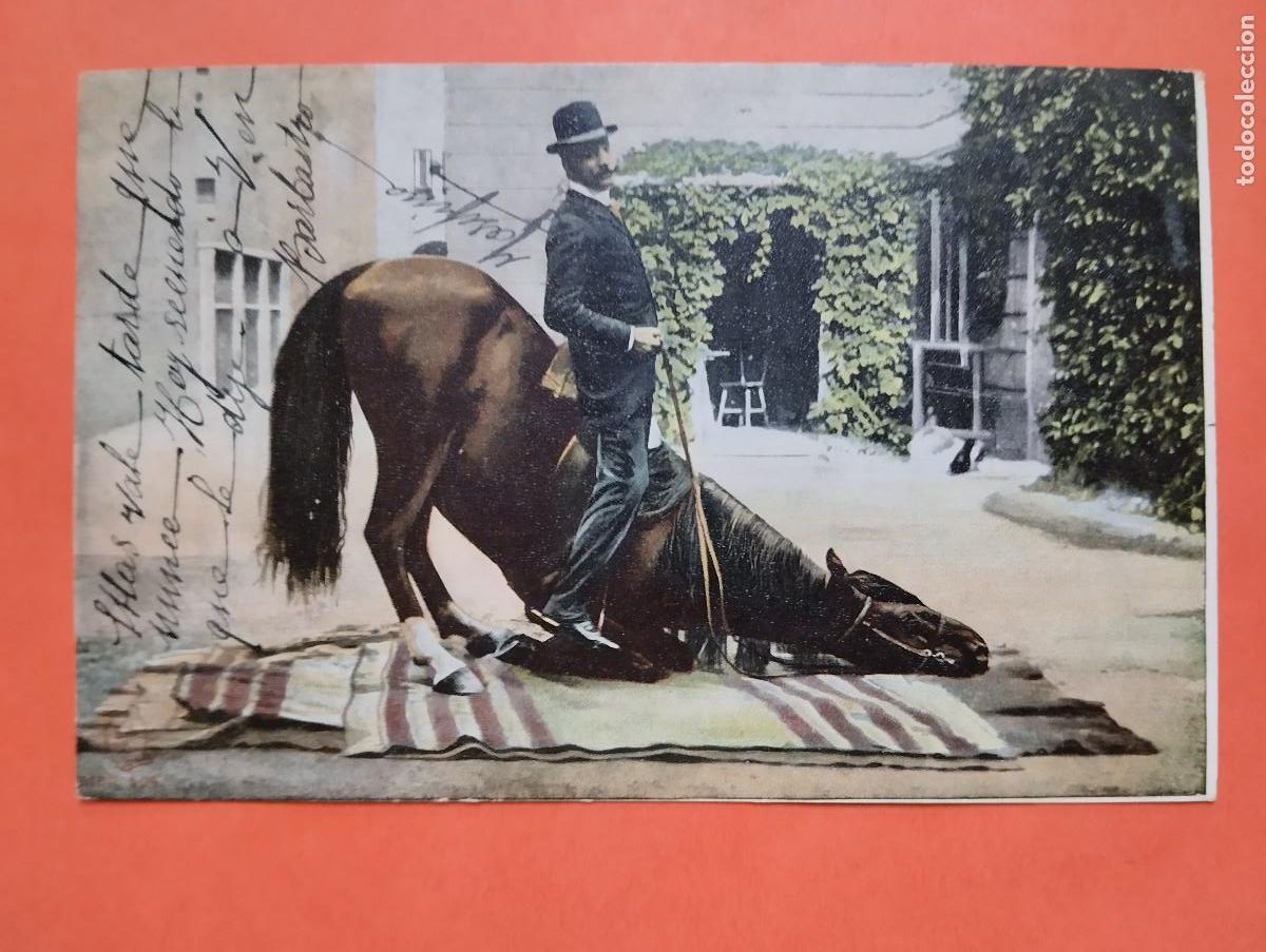 Cartoline: JHR - POSTAL CABALLO.. AL POETA HUESCA CRISTINO GASOS SAMITIER VER DESCRIPCION