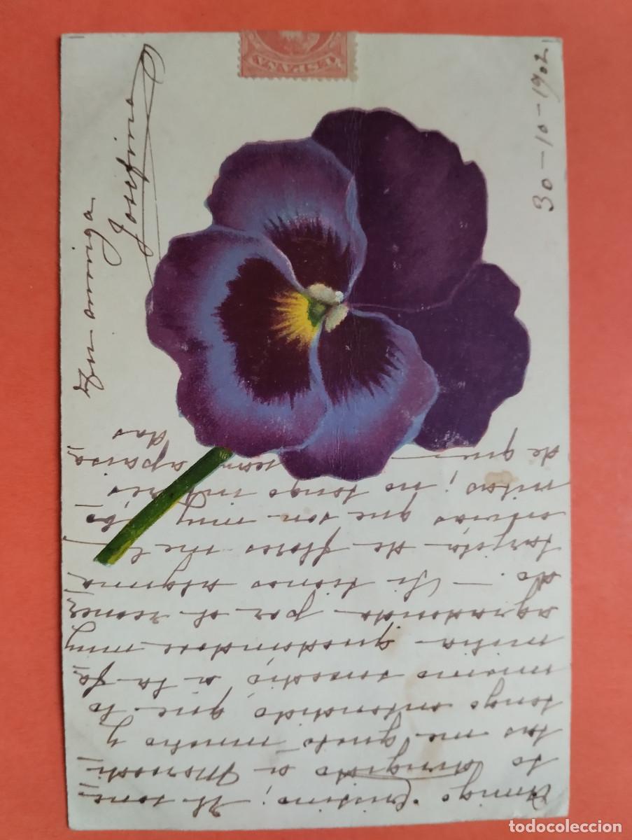 Postais: JHR - POSTAL FLORES.. AL POETA HUESCA CRISTINO GASOS SAMITIER VER DESCRIPCION