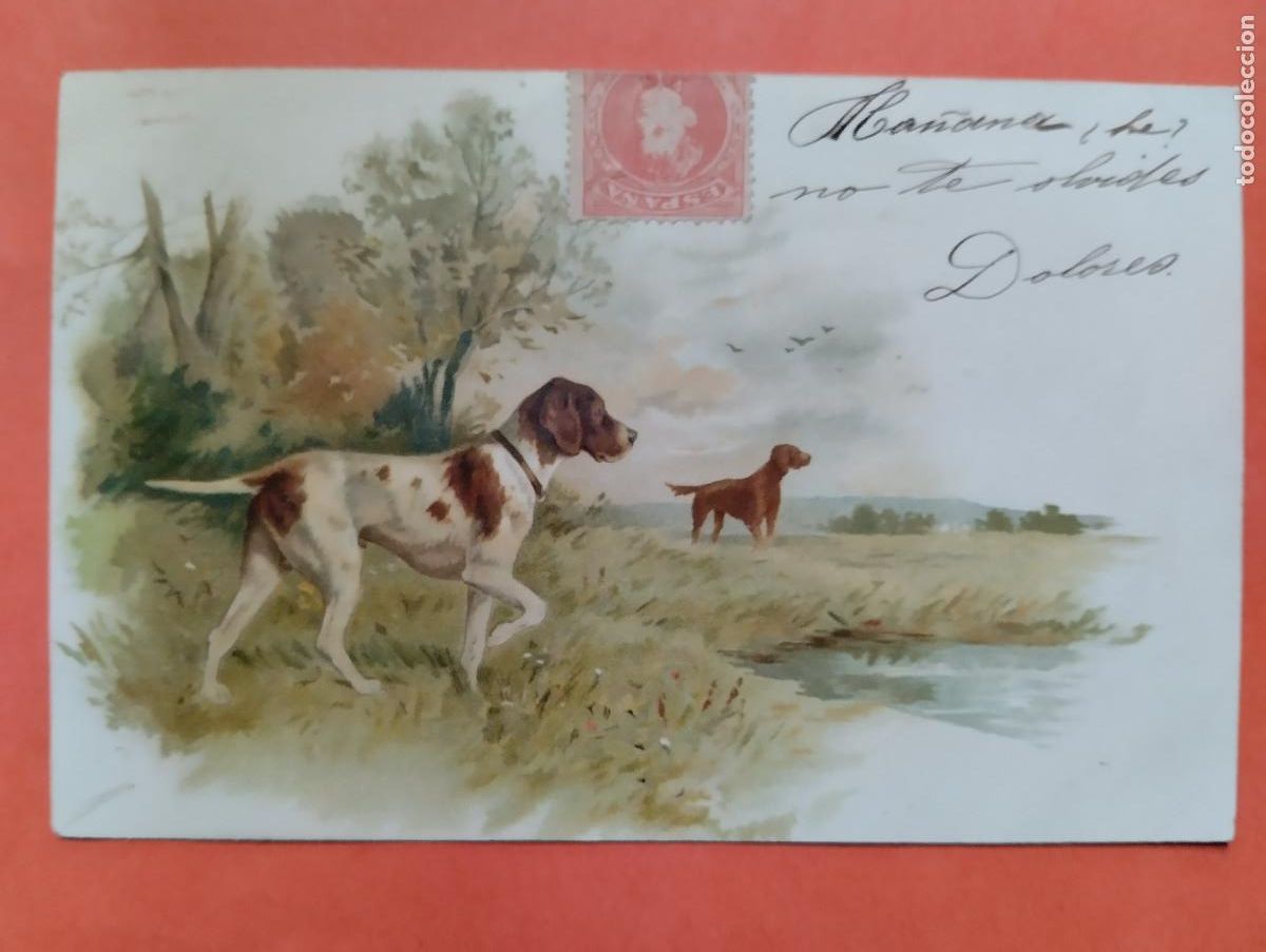 Postales: JHR - POSTAL, PERROS. AL POETA HUESCA CRISTINO GASOS SAMITIER VER DESCRIPCION