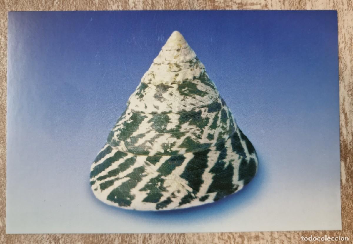 Postkarten: POSTAL DE LA EXPOSICION XVI TALLER DE CIENCIAS NATURALES Gaster&oacute;podos 1999 VITORIA-GASTEIZ