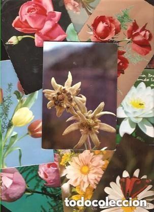 Postales: 10 POSTALES FLORES - DIFERENTES