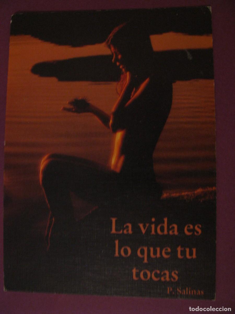 Postales: POSTAL DE ED. PRODECO. SERIE LA VIDA ES... - Foto 1