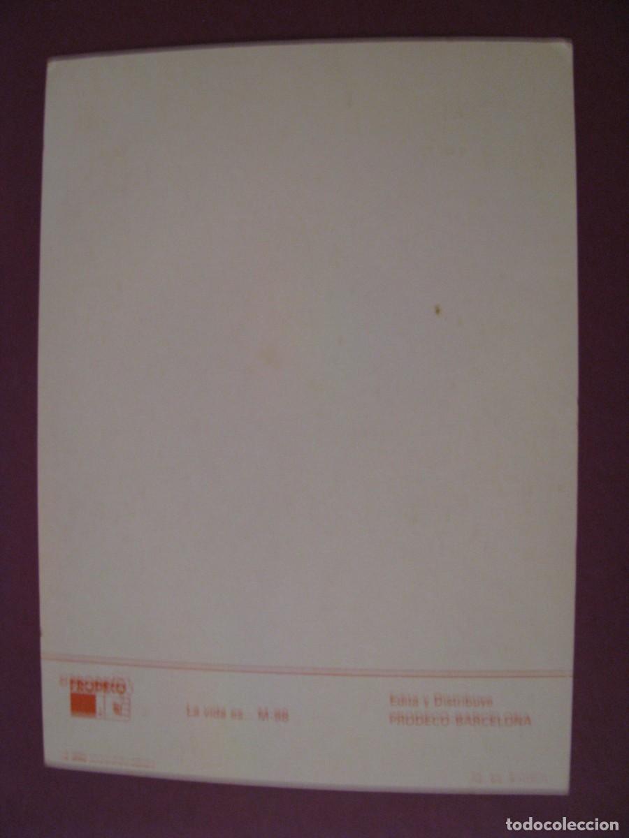 Postales: POSTAL DE ED. PRODECO. SERIE LA VIDA ES... - Foto 2