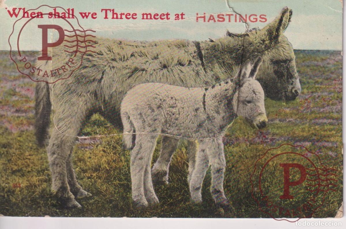 Postales: POSTAL MOVIL. SYST&Egrave;ME. SYSTEM. UK. WHEN SHALL WE THREE MEET AT HASTINGS. BURROS. DONKEY