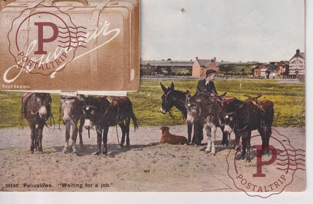 Postales: POSTAL MOVIL. SYST&Egrave;ME. SYSTEM. UK. FELIXATOWE WAITING FOR A JOB. BURROS. DONKEY