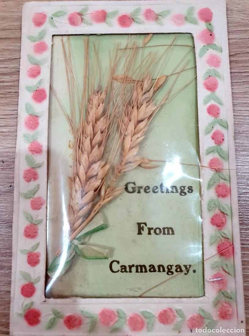 Postales: CANADA. GREETINGS FROM CARMANGAY
