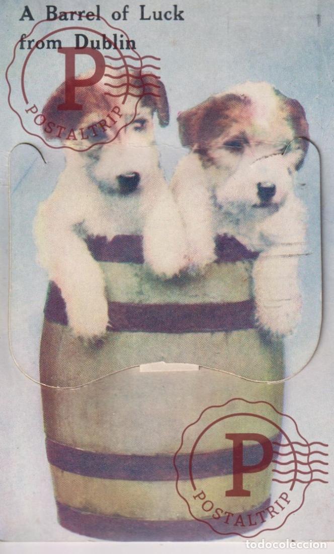 Cartoline: IRLANDA. A BARREL OF LUCK FROM DUBLIN. SYSTEME PERROS. DOGS. FANTASIA. FANTASIE. SEE SCAN.