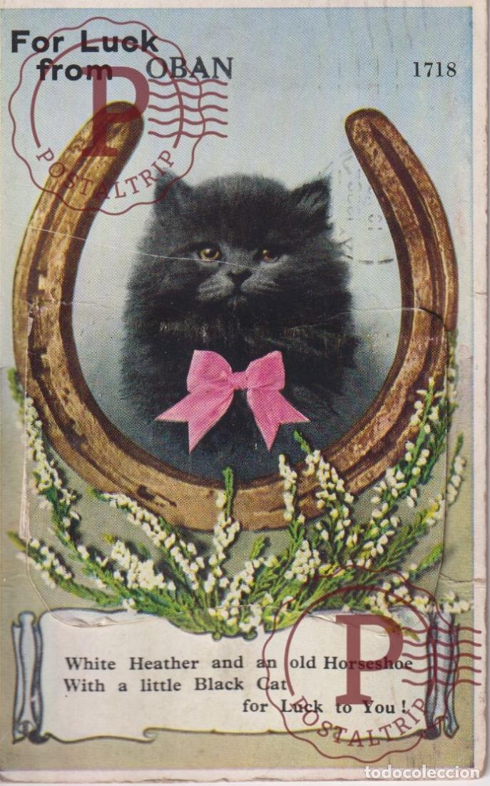 Cartoline: ESCOCIA. SCOTLAND. FOR LUCK FROM OBAN. SYSTEME FANTASIA. GATO. CAT. CHAT. MOVILES. MIRE ESCAN. SEE S
