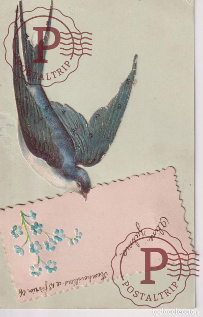 Postkarten: BIRD. PAJARO. OISEAU. RELIEF. RELIEVE