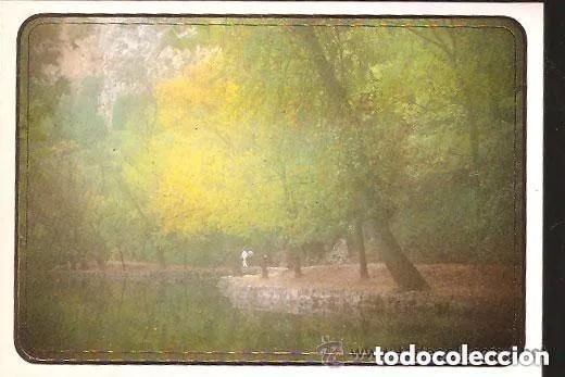 Postales: FELICITACI&Oacute;N --- D&Iacute;PTICO SIN ESCRIBIR