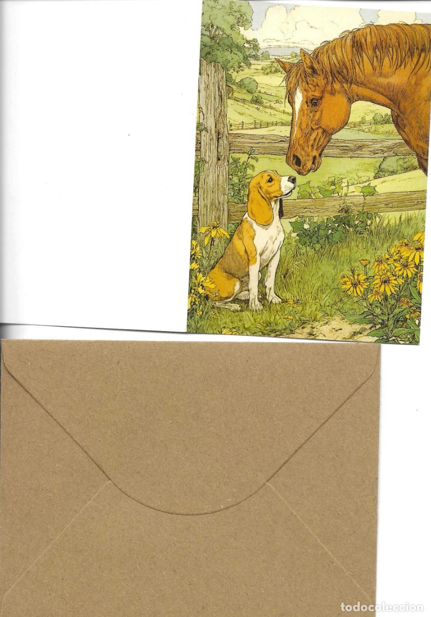 Postales: &rdquo;Perros y caballos&rdquo; 6 peque&ntilde;as tarjetas dobles, 8,5 x 12 cms., ilustradas, con sobres para su envio.