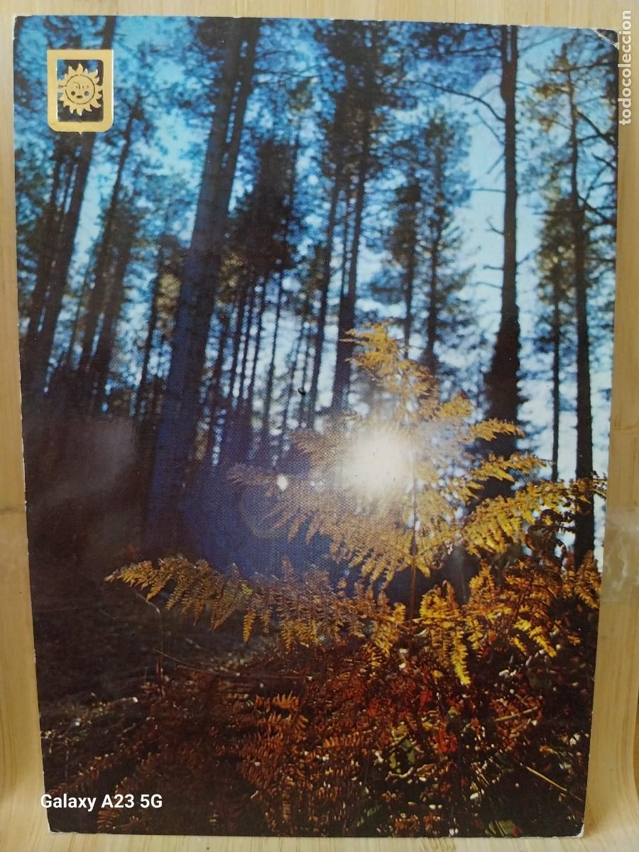 Postales: ATARDECER BOSQUE ED FISA 3080/2 SC ORIGINAL