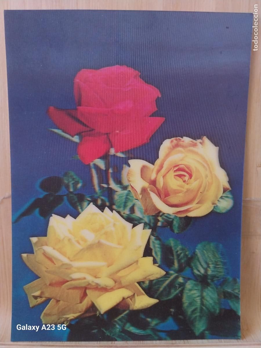 Postales: ROSAS POSTAL HOLOGR&Aacute;FICA TOPAN TOP STEREO POSTAL TP 407 ROSE G SC ORIGINAL