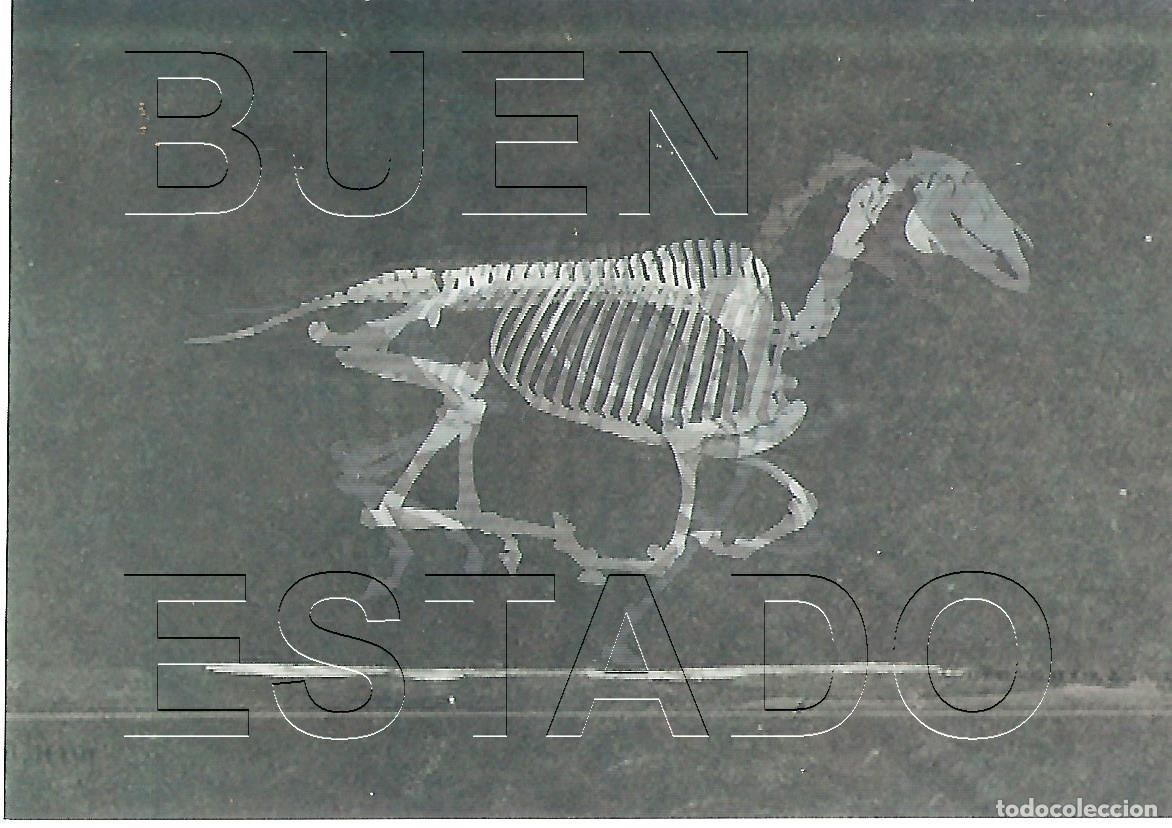Postales: POSTAL HOLOGRAFICA EADWEARD J MUYBRIDGE IRON SALT PROCESS 15X10 M28