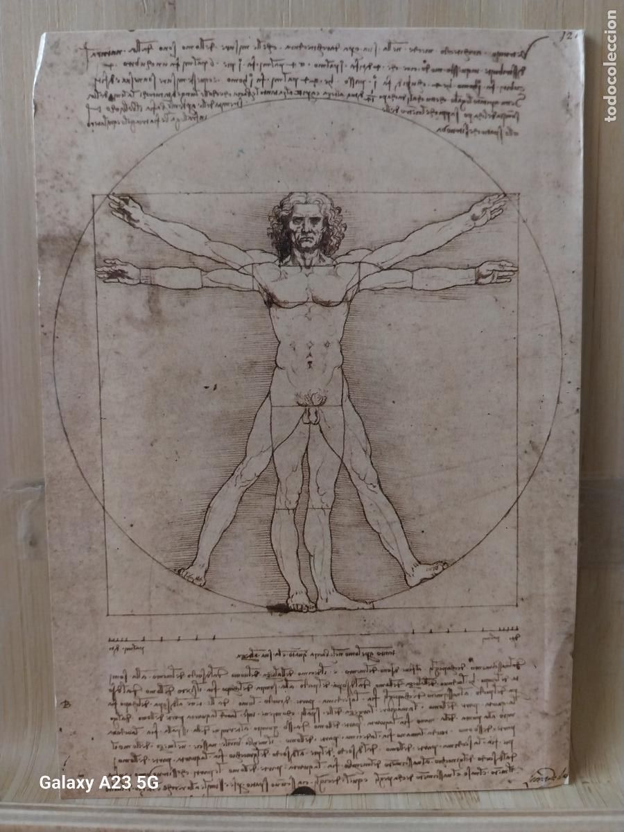 Postales: DA VINCI VITRUVIO ARQUITECTURA DEL CUERPO ED NDVA LVX SC ORIGINAL